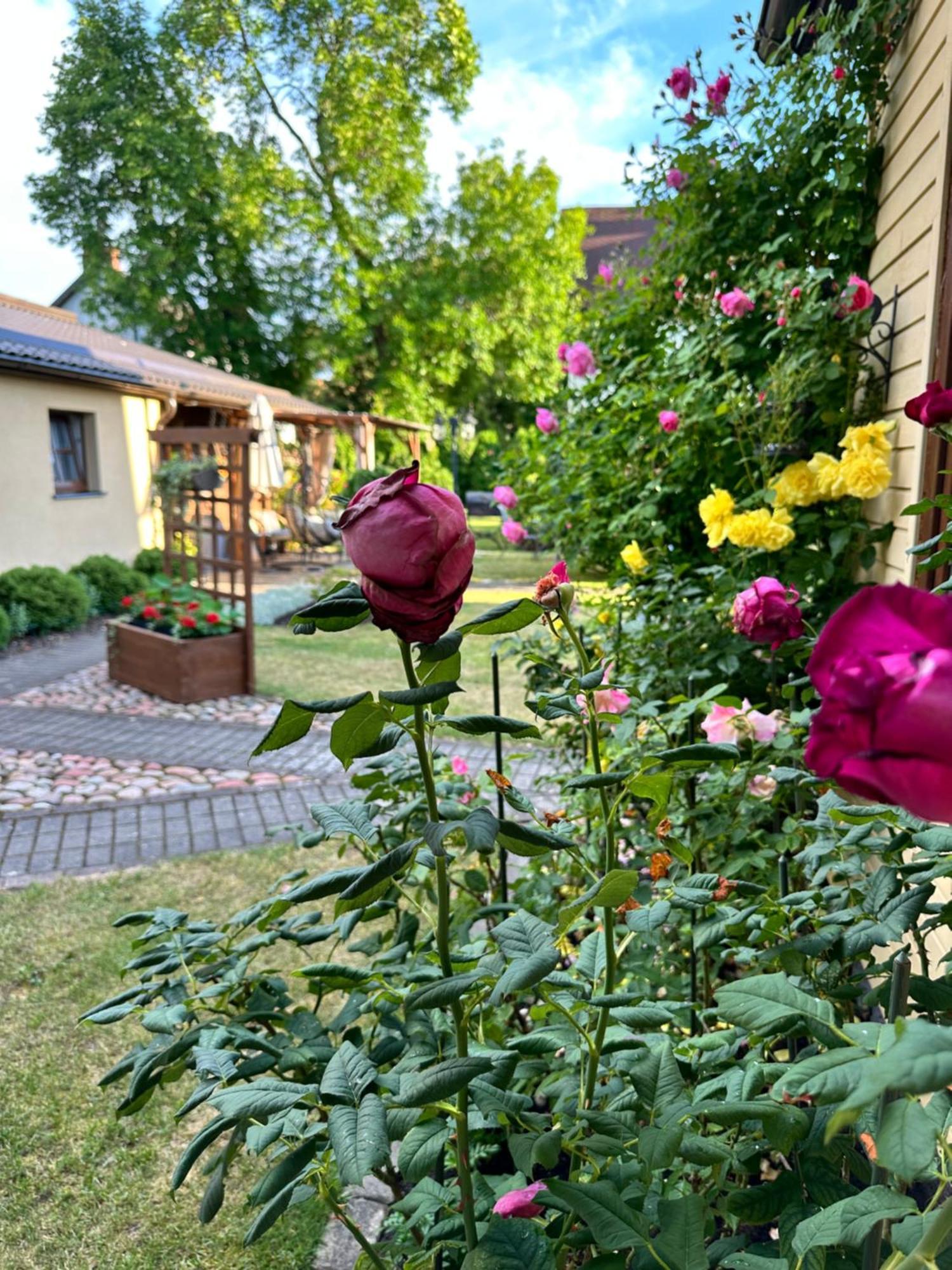 Ferienwohnung Anni Ventspils Exterior foto